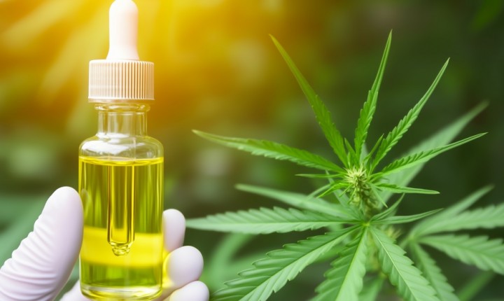 Canabidiol em SC pode ficar 60% mais caro