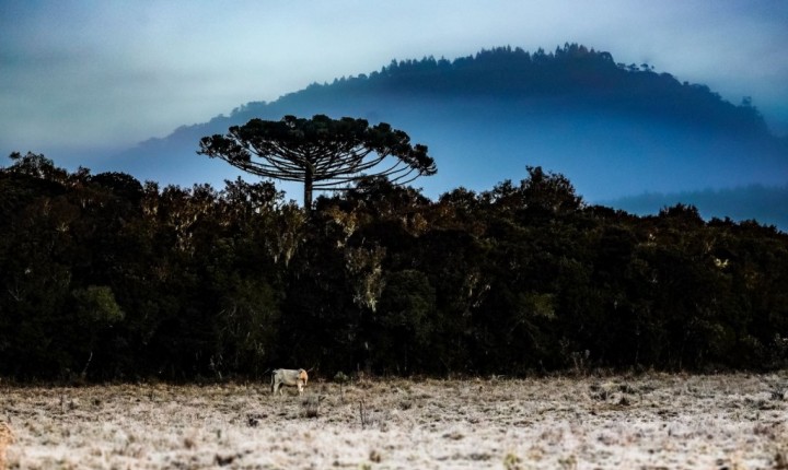 Frio ganha força em SC com nova frente fria