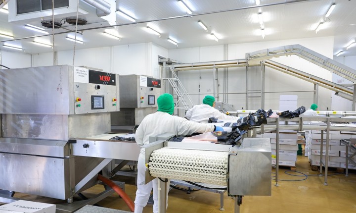 Sine oferta milhares de vagas em SC