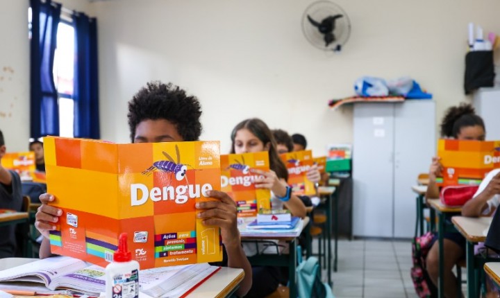 Santa Catarina reduz dengue em mais de 90%