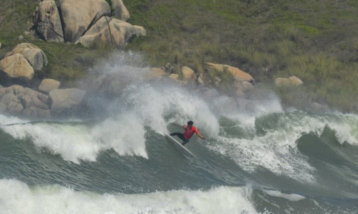 Alesc define novas medidas para cães e surfe