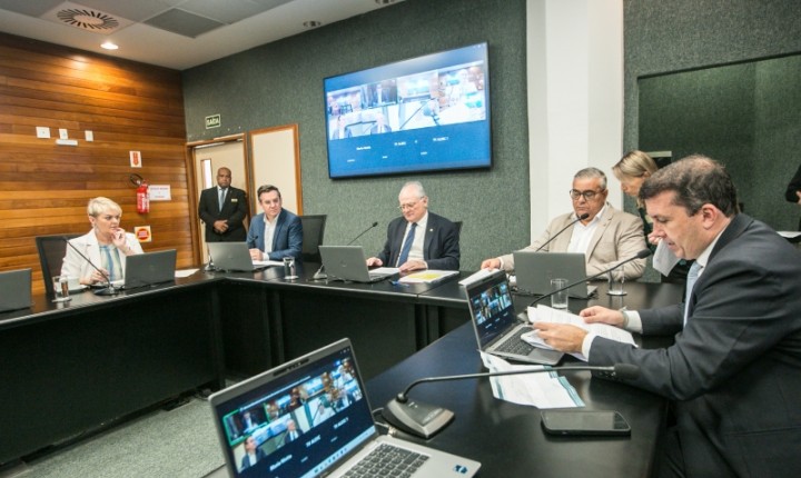 SC define normas para uso do Cordão de Girassol