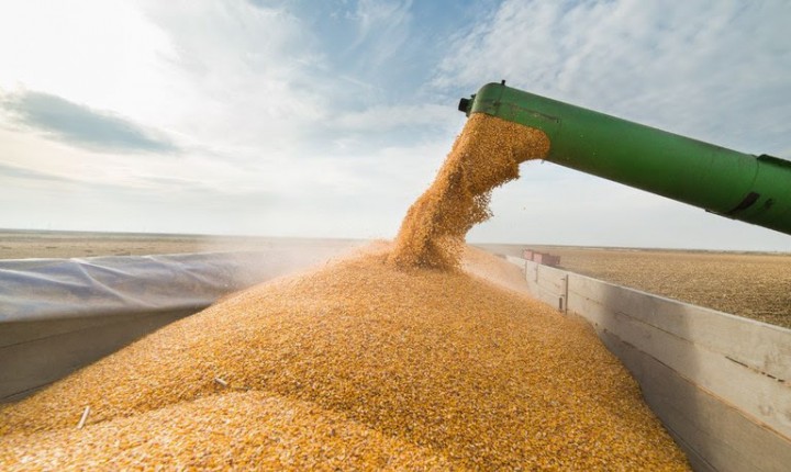 Brasil atinge novo recorde na safra de grãos em 2025