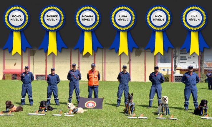 Cães do CBMSC ocupam topo nacional em certificações
