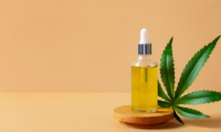 Cannabis medicinal ganha respaldo científico em SC