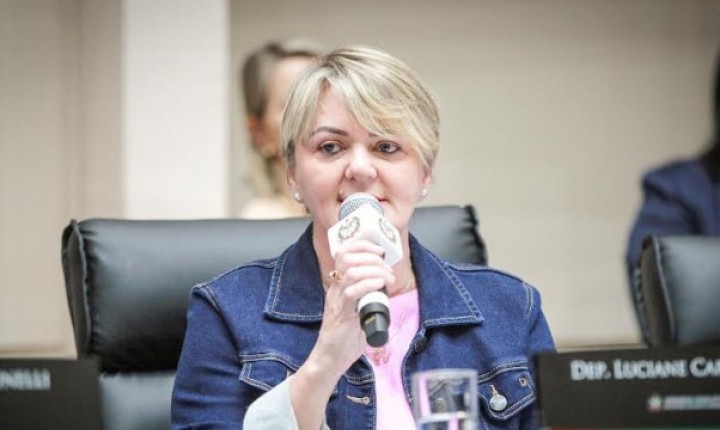 Carminatti questiona teto não cumprido no PIC