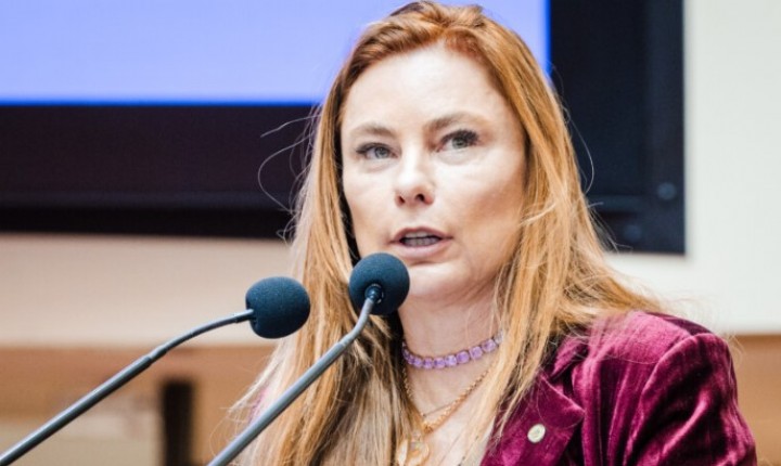 Alesc analisa comissão para proteção de mulheres