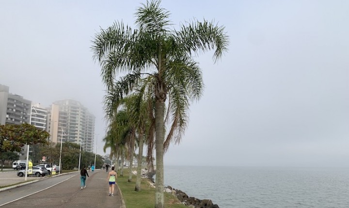 Forte nevoeiro está previsto para manhã deste domingo, 31/05