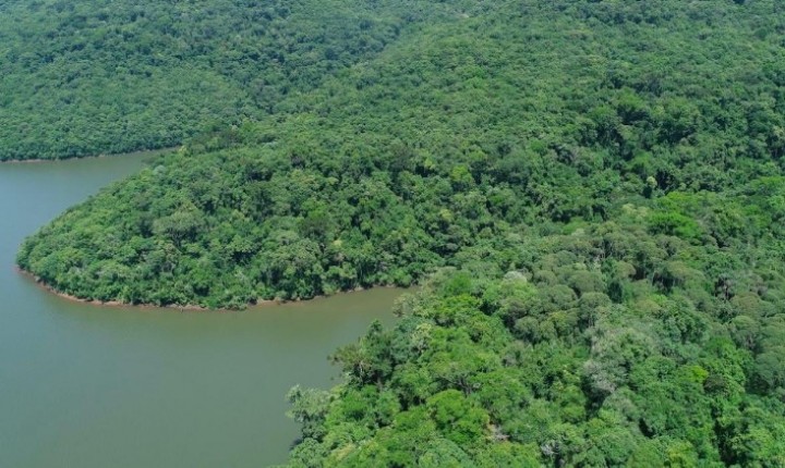 Junho Verde reúne ações para futuro sustentável