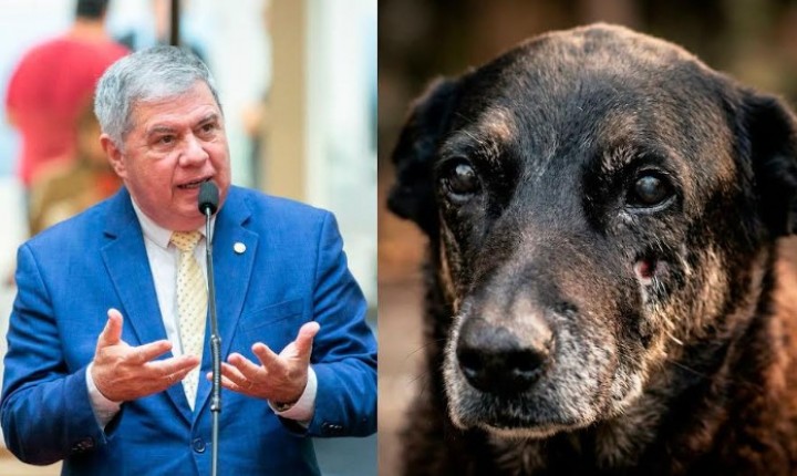 Caso Orelha pode virar CPI