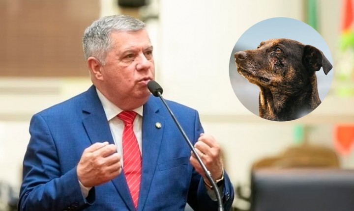 SC endurece punições contra maus-tratos aos animais
