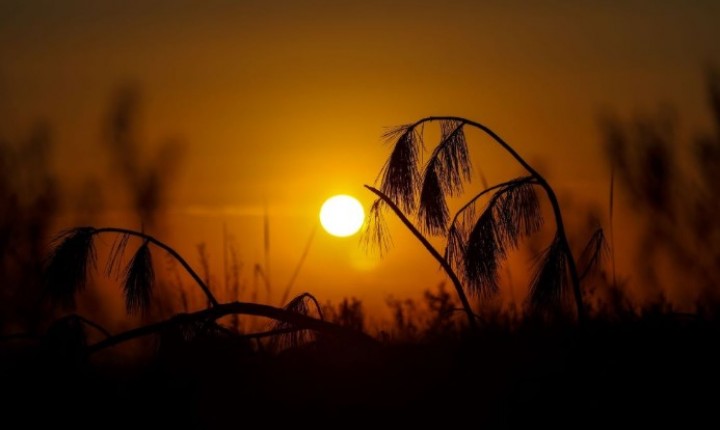 Fim de semana mistura calor e ventos fortes em SC