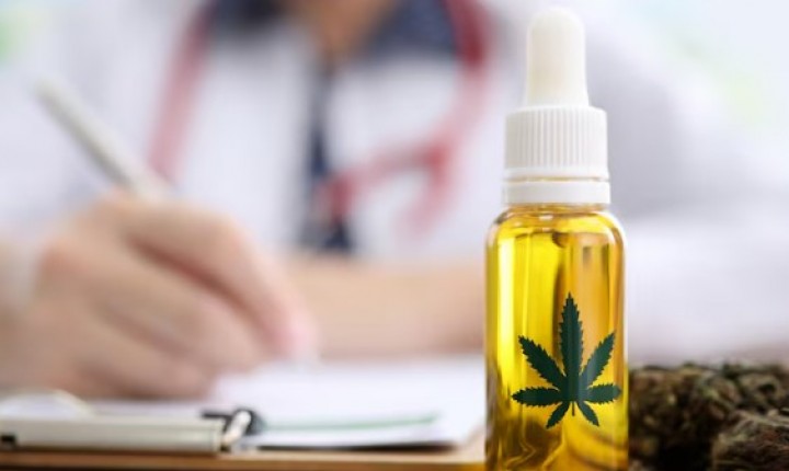 Cannabis medicinal vira pauta na saúde catarinense