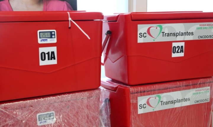 SC tem maior taxa de doadores do Brasil