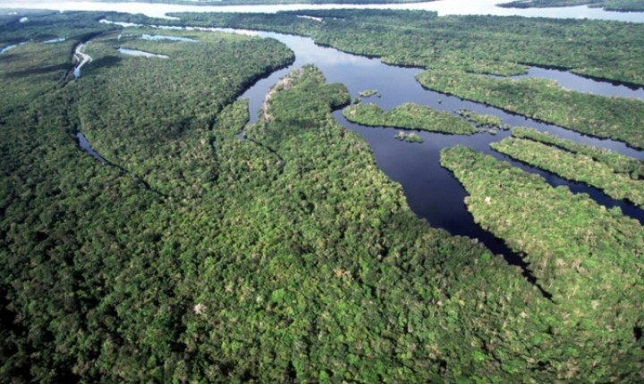 Brasil registra menor desmatamento da história em dois biomas