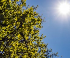 SC terá dias de sol antes da virada do tempo