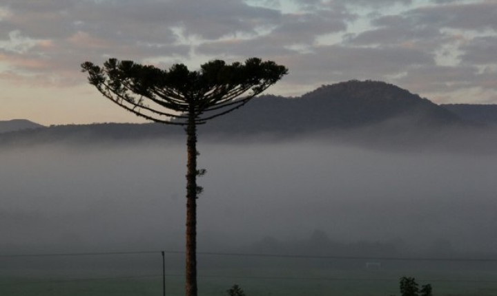 Tempo deve mudar em SC a partir de quarta-feira, mas previsão é de agosto com pouca chuva