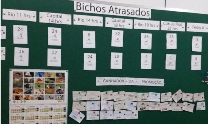 Polícia Civil deflagra operação contra lavagem de dinheiro decorrente de jogo do bicho na Grande Florianópolis