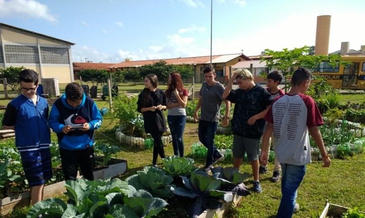 Em escola municipal de Florianópolis, crianças trabalham no contraturno ambiente e sustentabilidade