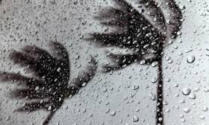 Defesa Civil alerta para fortes tempestades em SC neste final de semana