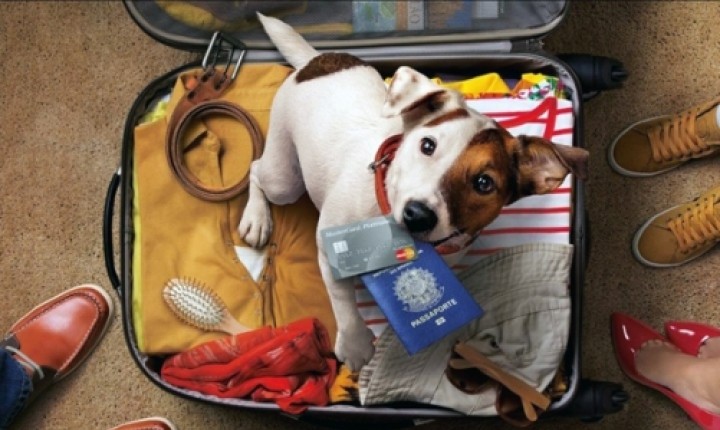 Viaje, mas não deixe seu pet sozinho