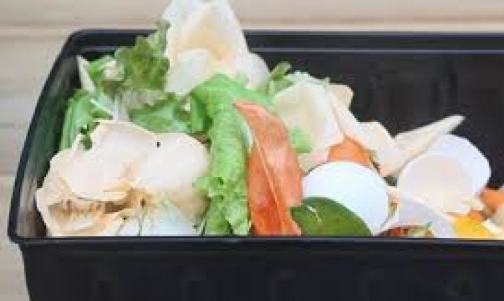 Compostagem doméstica: fácil e sustentável 