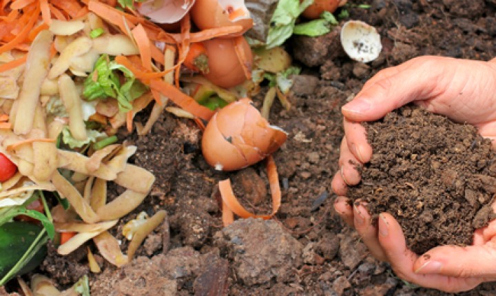Florianópolis sanciona lei da compostagem para reciclagem de resíduos sólidos orgânicos 