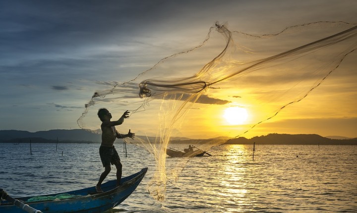 Registros de pescadores artesanais serão reavaliados para evitar fraudes
