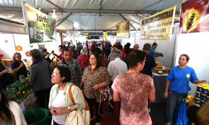 XX Feira do Mel de Florianópolis inicia nesta quarta-feira, 5