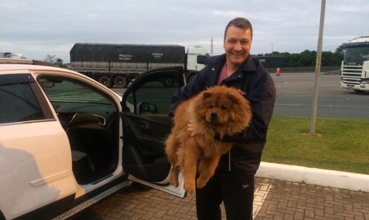Cão resgatado na BR-101 é devolvido ao dono 