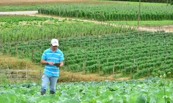 Governo assina Medida Provisória com política de tributação de agrotóxicos 