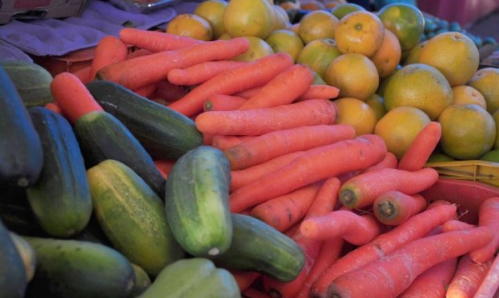 Governo anuncia recursos para promoção de alimentação saudável em 50 municípios de SC