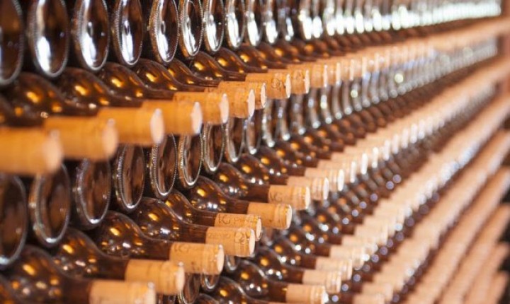 Vinhos catarinenses ganham competitividade com saída da Substituição Tributária