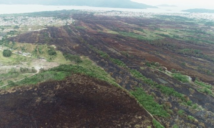 IMA define cronograma de ações para recuperar área queimada no Parque da Serra do Tabuleiro