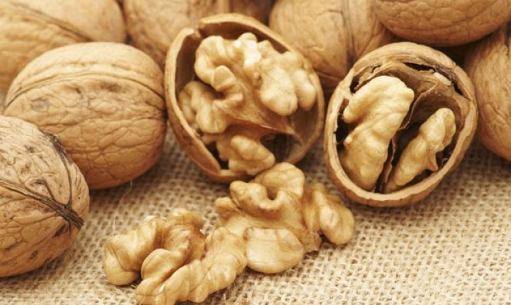 Dia Mundial da Alimentação: como nutrir sua memória