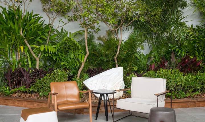 Urban Jungle: plantas em destaque nos projetos paisagísticos da CASACOR/SC