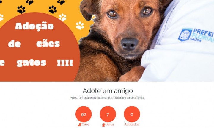 Plataforma digital agiliza processo para adoção de animais