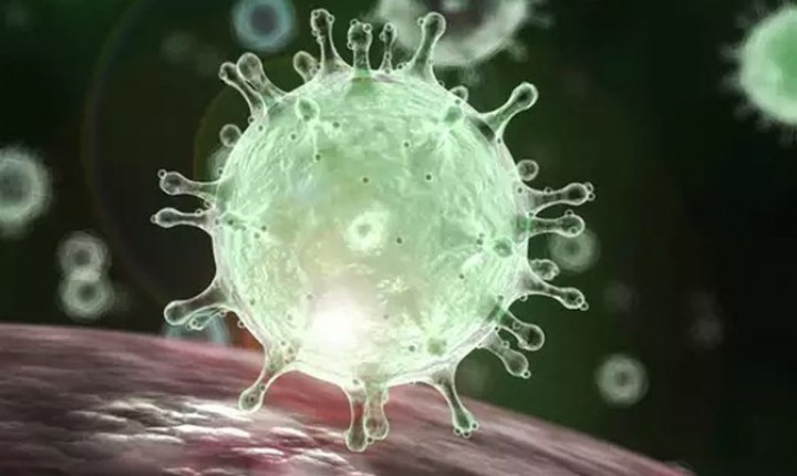 Organização Mundial de Saúde declara pandemia de coronavírus