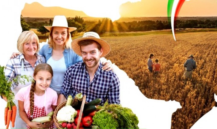 Agricultura familiar: campanha é lançada para estimular consumo de produtos em SC