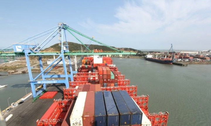 Exportação de carne suína: Santa Catarina lidera no primeiro semestre