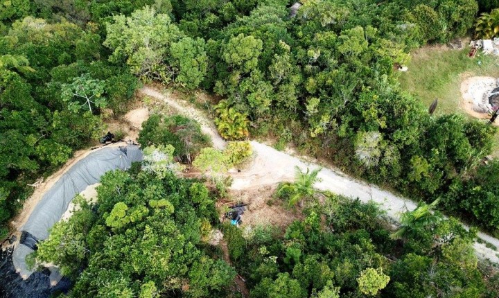 Crime ambiental: supressão de vegetação acontecia dentro de Unidade de Conservação da Capital