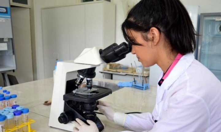 Projeto inovador: pesquisadores da Udesc Lages desenvolvem teste rápido para Covid-19