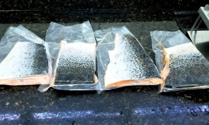 Pescado congelado: consumidores precisam ter cuidados na hora da compra, alerta Imetro-SC 