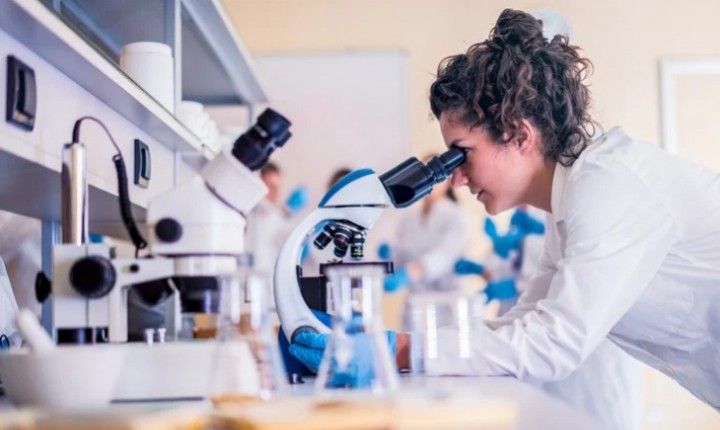 Recorde de inscrições: Programa de Pesquisa Universal teve mais de 1 mil projetos submetidos em SC