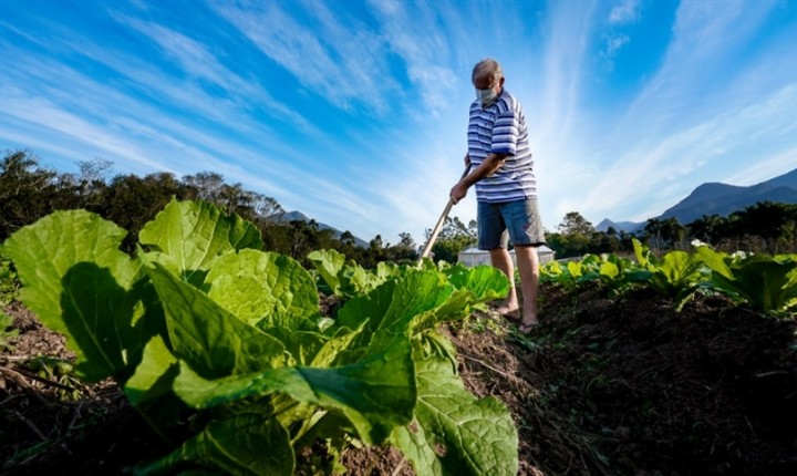 Agropecuária em SC: convênios que contribuem com o setor são prorrogados