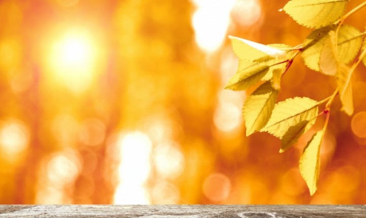 Aquele sol de Outono, será que vai rolar? Acesse a previsão do tempo!