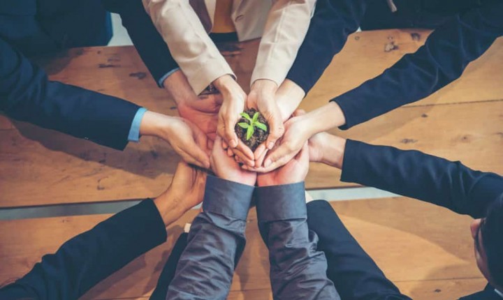 COP 26: qual o papel do empresariado no meio ambiente?