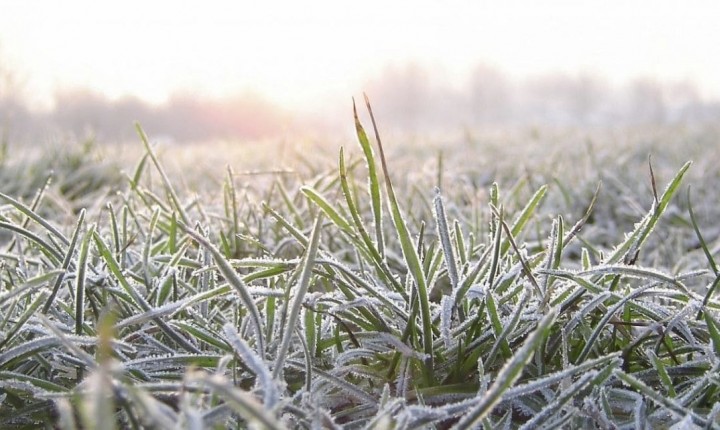 Frio intenso neste final de semana em SC. Confira a previsão do tempo!