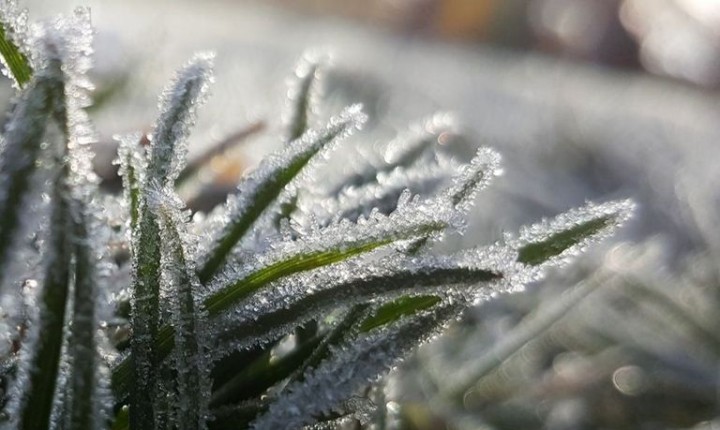 Está frio, hein? Saiba se os próximos dias serão gelados, na previsão do tempo!