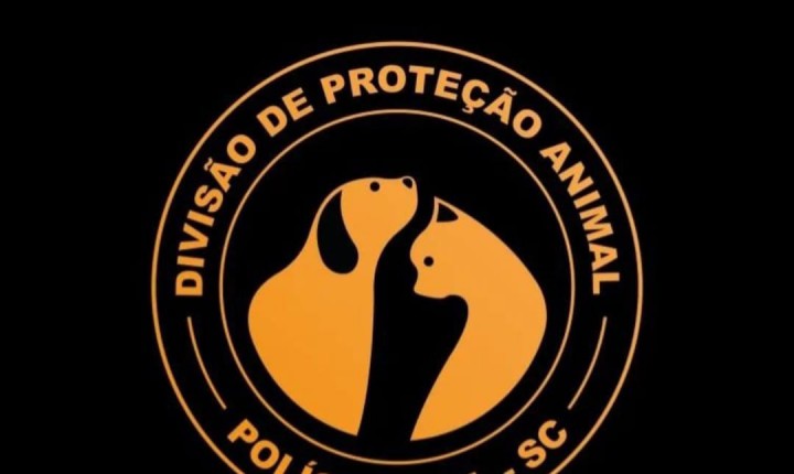 Divisão de Proteção Animal indicia homem que agrediu cachorra com roçadeira em Palhoça